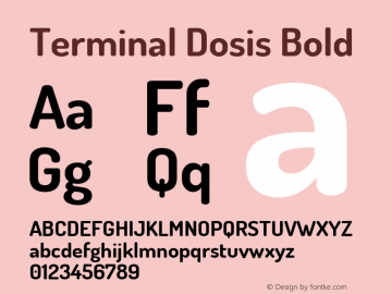 Terminal Dosis Bold Version 1.006 Font Sample