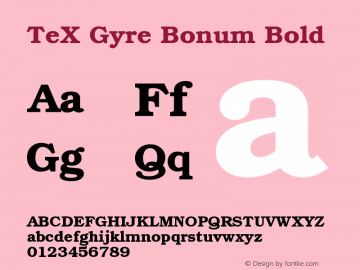 TeX Gyre Bonum Bold Version 1.103;PS 1.103;hotconv 1.0.49;makeotf.lib2.0.14853 Font Sample