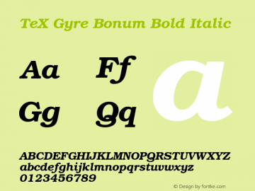 TeX Gyre Bonum Bold Italic Version 1.103;PS 1.103;hotconv 1.0.49;makeotf.lib2.0.14853 Font Sample