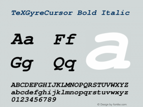 TeXGyreCursor Bold Italic Version 1.103;PS 1.103;hotconv 1.0.49;makeotf.lib2.0.14853图片样张