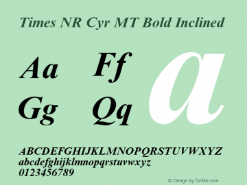 Times NR Cyr MT Bold Inclined Version 1.0 - November 1992图片样张