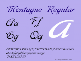 Montague Regular Weatherly Systems, Inc.  6/13/95 Font Sample