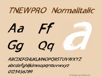 TNEWPRO NormalItalic Macromedia Fontographer 4.1 27/03/2009图片样张