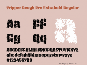 Tripper Rough Pro Extrabold Regular Version 2.501 (license nr. xxxx) Font Sample