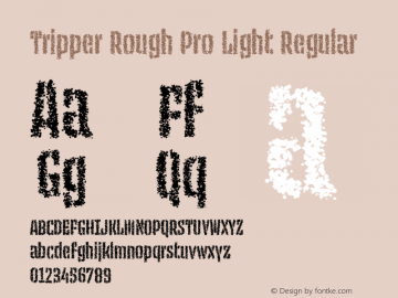 Tripper Rough Pro Light Regular Version 2.501 (license nr. xxxx) Font Sample
