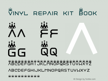 Vinyl repair kit Book Version 2 Font Sample