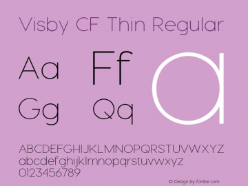 Visby CF Thin Regular Version 1.005;PS 001.005;hotconv 1.0.70;makeotf.lib2.5.58329图片样张