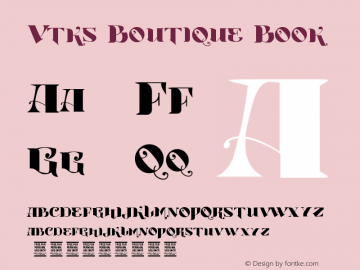 Vtks Boutique Book Version 1.00 January 2, 2013图片样张