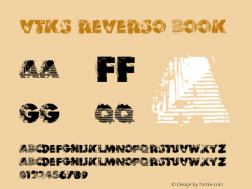 VTKS REVERSO Book Version 1.00 January 27, 201图片样张