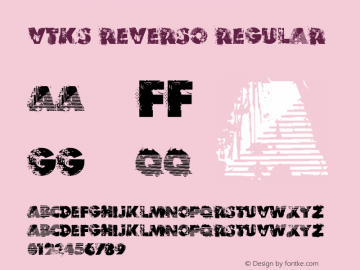 VTKS REVERSO Regular Version 1.00 January 27, 2010, initial release图片样张