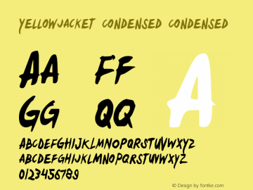 Yellowjacket Condensed Condensed 1图片样张