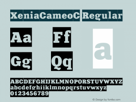 XeniaCameoC Regular OTF 1.0;PS 001.000;Core 116;AOCW 1.0 161图片样张