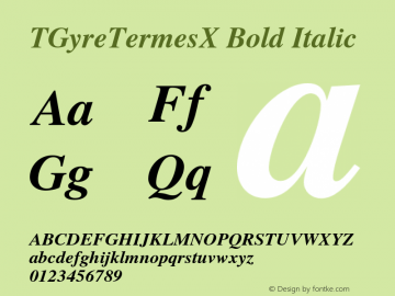 TGyreTermesX Bold Italic Version 2.004;PS 2.004;hotconv 1.0.49;makeotf.lib2.0.14853 Font Sample