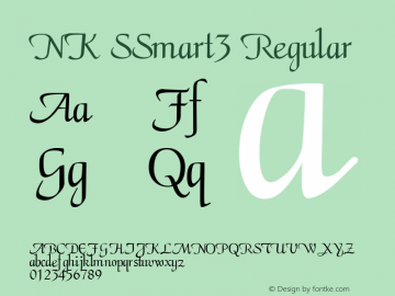 NK SSmart3 Regular Version 1.003 2014 Font Sample