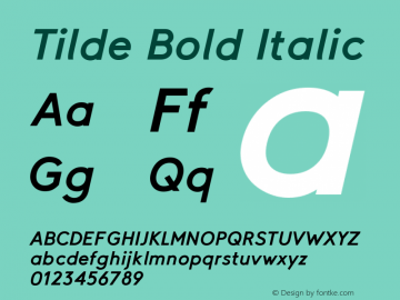 Tilde Bold Italic Version 1.001;PS 001.001;hotconv 1.0.70;makeotf.lib2.5.58329图片样张
