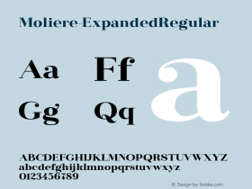 Moliere-ExpandedRegular ☞ Version 1.000;com.myfonts.eurotypo.moliere.exp-regular.wfkit2.3FSd图片样张