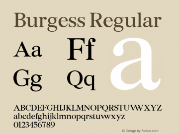 Burgess Regular Version 1.001;PS 001.001;hotconv 1.0.88;makeotf.lib2.5.64775 Font Sample