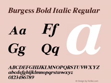 Burgess Bold Italic Regular Version 1.002;PS 001.002;hotconv 1.0.88;makeotf.lib2.5.64775 Font Sample