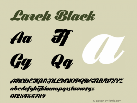 Larch Black Version 1.000;com.myfonts.easy.mawns.larch.black.wfkit2.version.4AuC图片样张