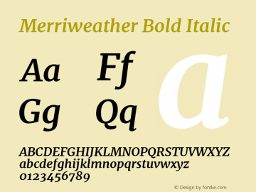 Merriweather Bold Italic Version 1.001图片样张