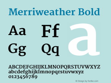 Merriweather Bold Version 1.003 Font Sample