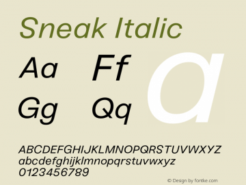 Sneak Italic Version 1.000;PS 001.000;hotconv 1.0.88;makeotf.lib2.5.64775图片样张