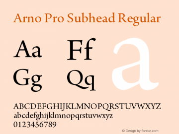 Arno Pro Subhead Regular Version 1.011;PS 1.000;hotconv 1.0.50;makeotf.lib2.0.16025 Font Sample