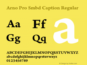 Arno Pro Smbd Caption Regular Version 1.011;PS 1.000;hotconv 1.0.50;makeotf.lib2.0.16025 Font Sample