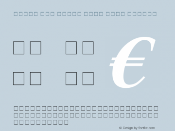 Times New Roman Euro Bold Italic MS core font:V2.00图片样张