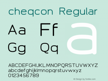 cheqcon Regular Version 1.3图片样张