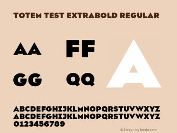 Totem TEST ExtraBold Regular Version 1.000;PS 1.0;hotconv 1.0.72;makeotf.lib2.5.5900图片样张