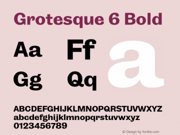 Grotesque 6 Bold Version 1.001 2014 WF图片样张