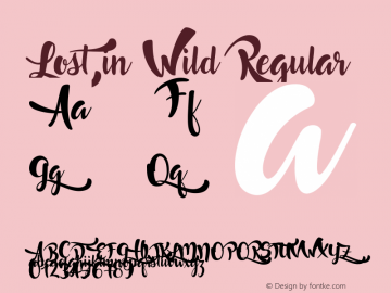 Lost in Wild Regular Version 1.000 by Francis Studio Font Sample
