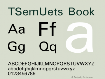 TSemUets Book Version 001.000图片样张