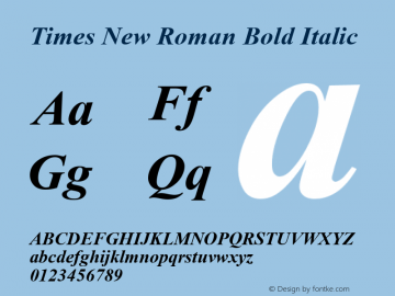 Times New Roman Bold Italic Version 2.76图片样张