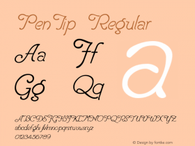 PenTip Regular W.S.I. Int'l v1.1 for GSP: 6/20/95 Font Sample