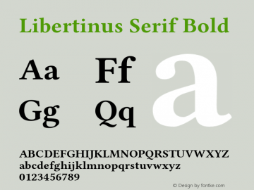 Libertinus Serif Bold Version 6.3图片样张