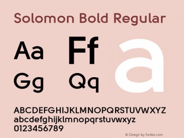 Solomon Bold Regular Version 001.001图片样张