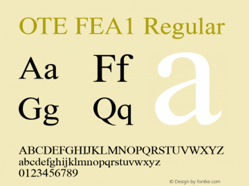 OTE FEA1 Regular Version 1.000 2005 initial release图片样张