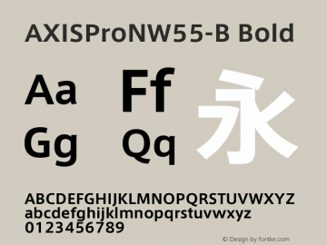 AXISProNW55-B Bold Version 1.00图片样张