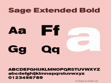 Sage Extended Bold July 7, 1992; 1.01 Font Sample