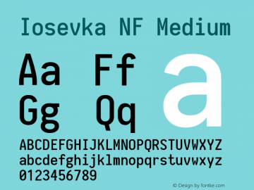 Iosevka NF Medium 1.8.4; ttfautohint (v1.5) Font Sample