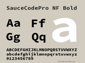 SauceCodePro NF Bold Version 2.010;PS 1.000;hotconv 1.0.84;makeotf.lib2.5.63406 Font Sample