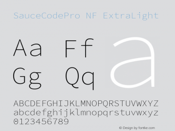 SauceCodePro NF ExtraLight Version 2.010;PS 1.000;hotconv 1.0.84;makeotf.lib2.5.63406 Font Sample