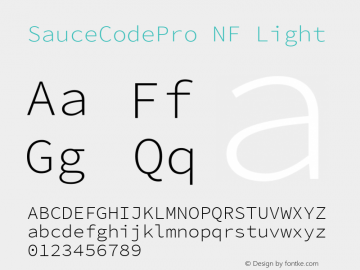 SauceCodePro NF Light Version 2.010;PS 1.000;hotconv 1.0.84;makeotf.lib2.5.63406图片样张