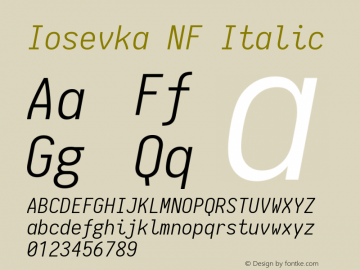 Iosevka NF Italic 1.8.4; ttfautohint (v1.5) Font Sample