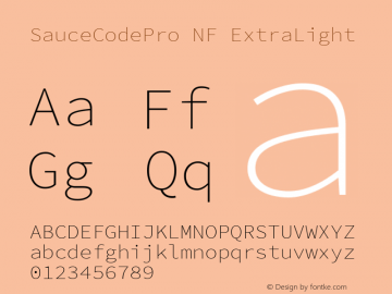 SauceCodePro NF ExtraLight Version 2.010;PS 1.000;hotconv 1.0.84;makeotf.lib2.5.63406 Font Sample