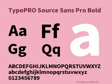 TypoPRO Source Sans Pro Bold Version 2.020;PS 2.000;hotconv 1.0.86;makeotf.lib2.5.63406 Font Sample