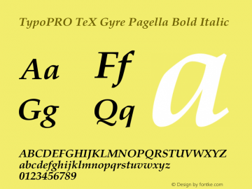 TypoPRO TeX Gyre Pagella Bold Italic Version 2.004;PS 2.004;hotconv 1.0.49;makeotf.lib2.0.14853 Font Sample