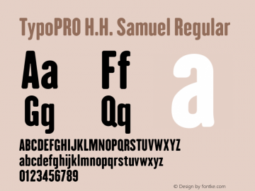 TypoPRO H.H. Samuel Regular Version 1.009图片样张